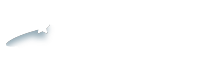 TNEX by MSB – All New Banking – Ngân Hàng Số Miễn Phí 100%