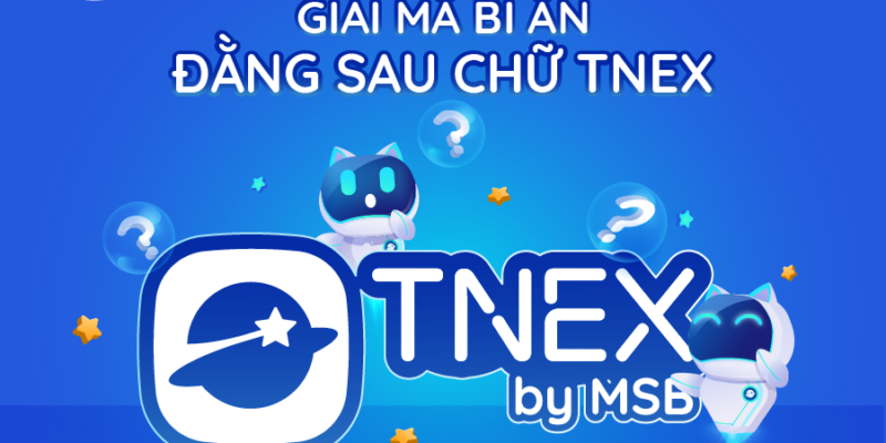 giai ma tnex-01